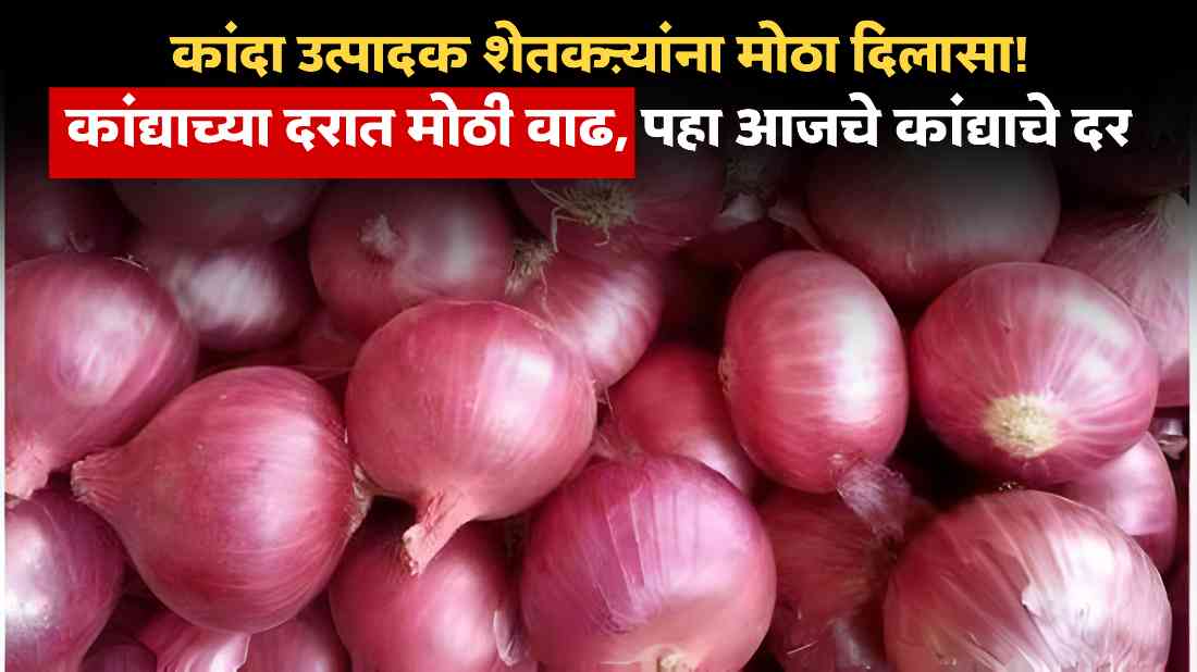 Onion Rate